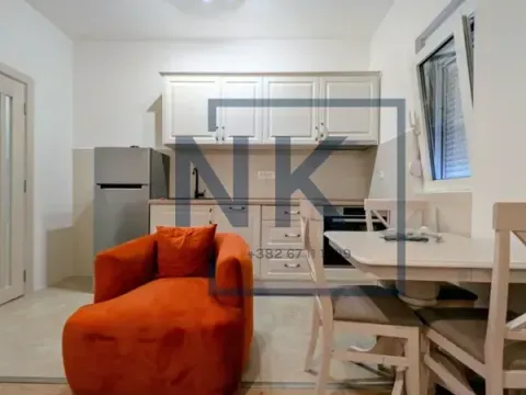 Prodaja, dvosoban stan, 40m², Zabjelo, Podgorica - image 3