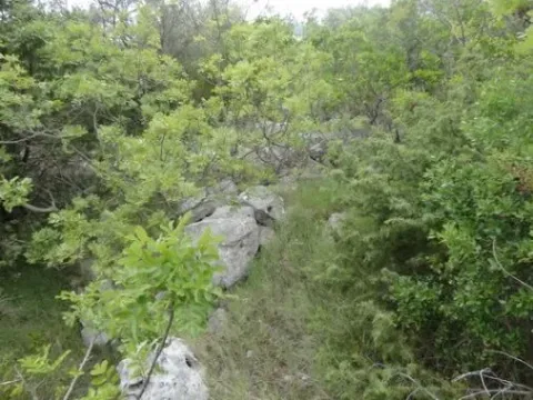 Prodaja, plac, 598m², Luštica, Herceg Novi - image 10