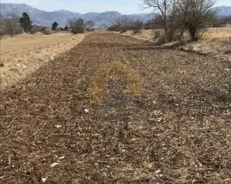 Prodaja, kuća, 54m², Grahovo, Nikšić - image 3