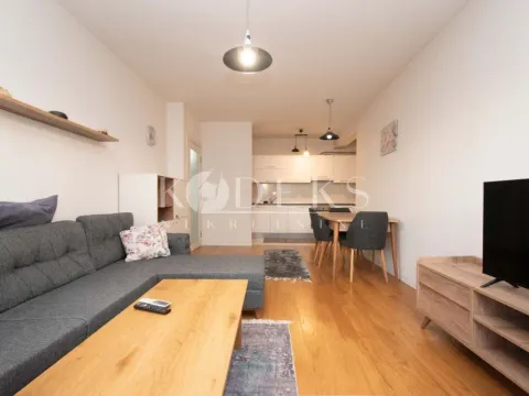 Izdavanje, jednosoban stan, 53m², Central Point, Podgorica - image 1