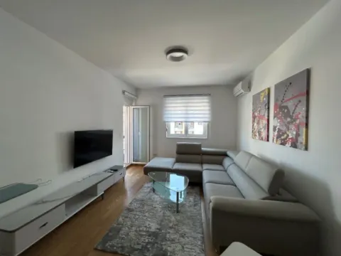 Izdavanje, jednosoban stan, 47m², Stari Aerodrom, Podgorica - image 3