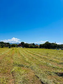 Pogled na prostrano ravno zemljište sa zelenom travom i okolnim rastinjem. - image 4