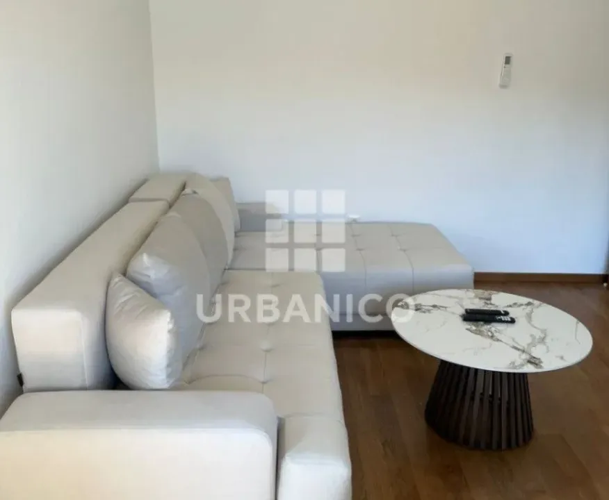 Izdavanje, jednosoban stan, 50m², Centar, Podgorica