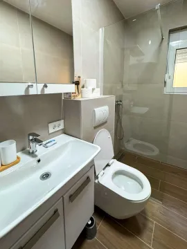 Modernly equipped bathroom with a washbasin, toilet, and walk-in shower. - image 19