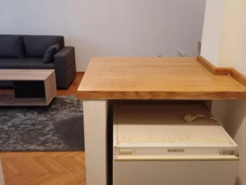 Rent, two bedroom apartment, 47m², Vračar Centar, Vračar Sve Podlokacije - image 5