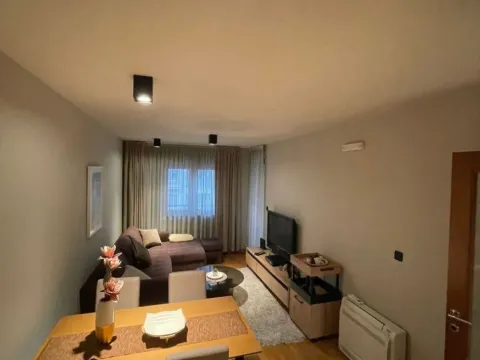 Izdavanje, jednosoban stan, 48m², Tološi, Podgorica - image 3