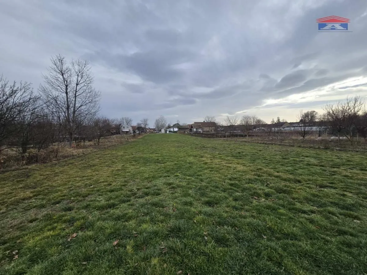Prodaja, plac, 3244m², Bački Petrovac, Novi Sad