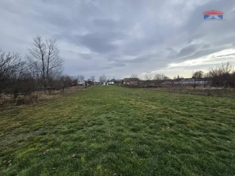 Prodaja, plac, Bački Petrovac, Novi Sad - image 4