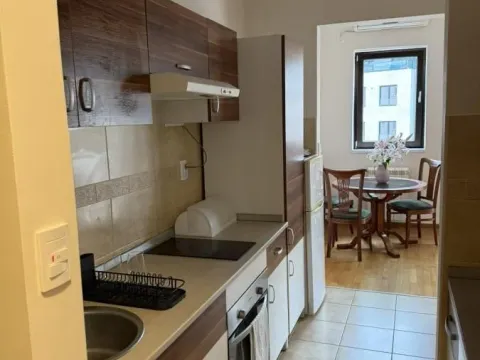Izdavanje, jednosoban stan, 56m², Vračar Sve Podlokacije, Beograd - image 6