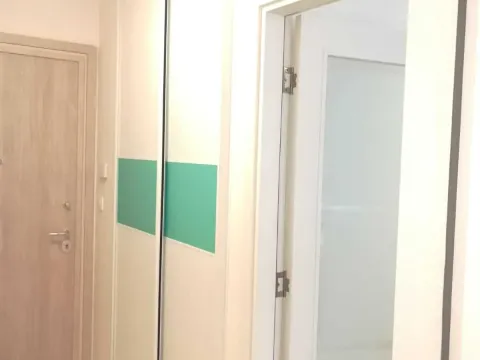 Izdavanje, jednosoban stan, 49m², Central Point, Podgorica - image 13