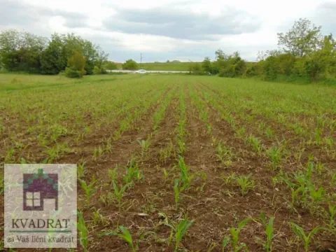 Sale, land lot, 5800m², Zvečka, Obrenovac - image 6