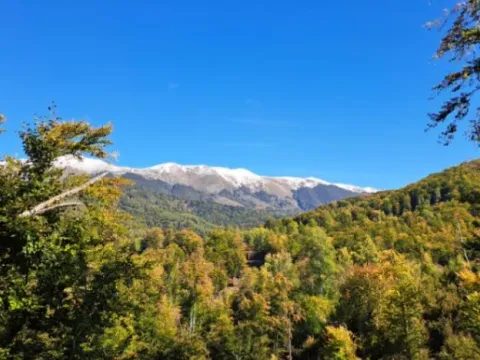 Sale, land lot, 89208m², Padež, Kolašin - image 4