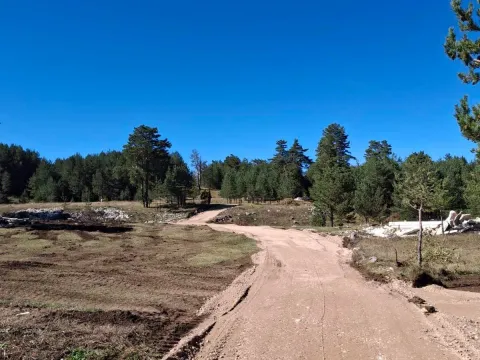 Prodaja, plac, 533m², Žabljak, Crna Gora - image 3