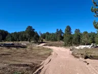 Sale, land lot, 533m², Žabljak, Crna Gora - image 3