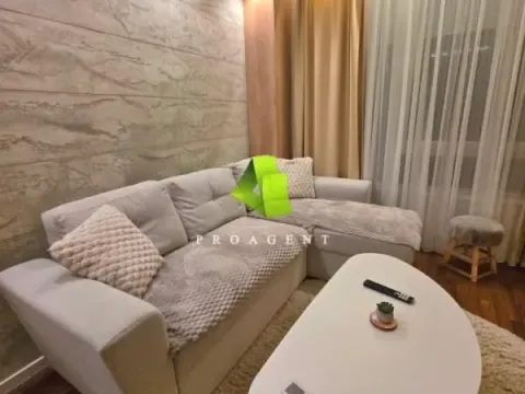 Rent, one bedroom apartment, 45m², Ledena Stena, Niš - image 1