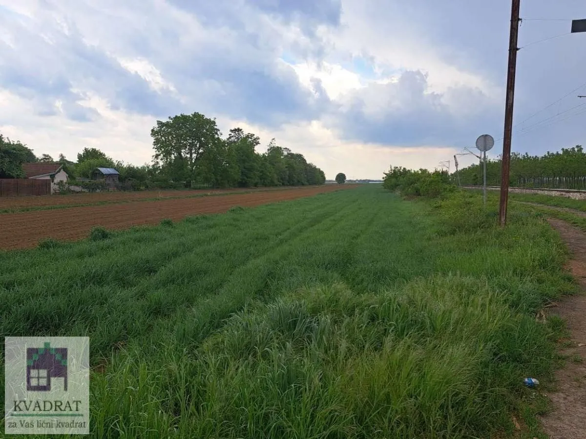 Prodaja, plac, 5300m², Zvečka, Obrenovac