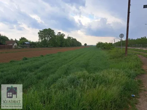 Prodaja, plac, 5300m², Zvečka, Obrenovac - image 2