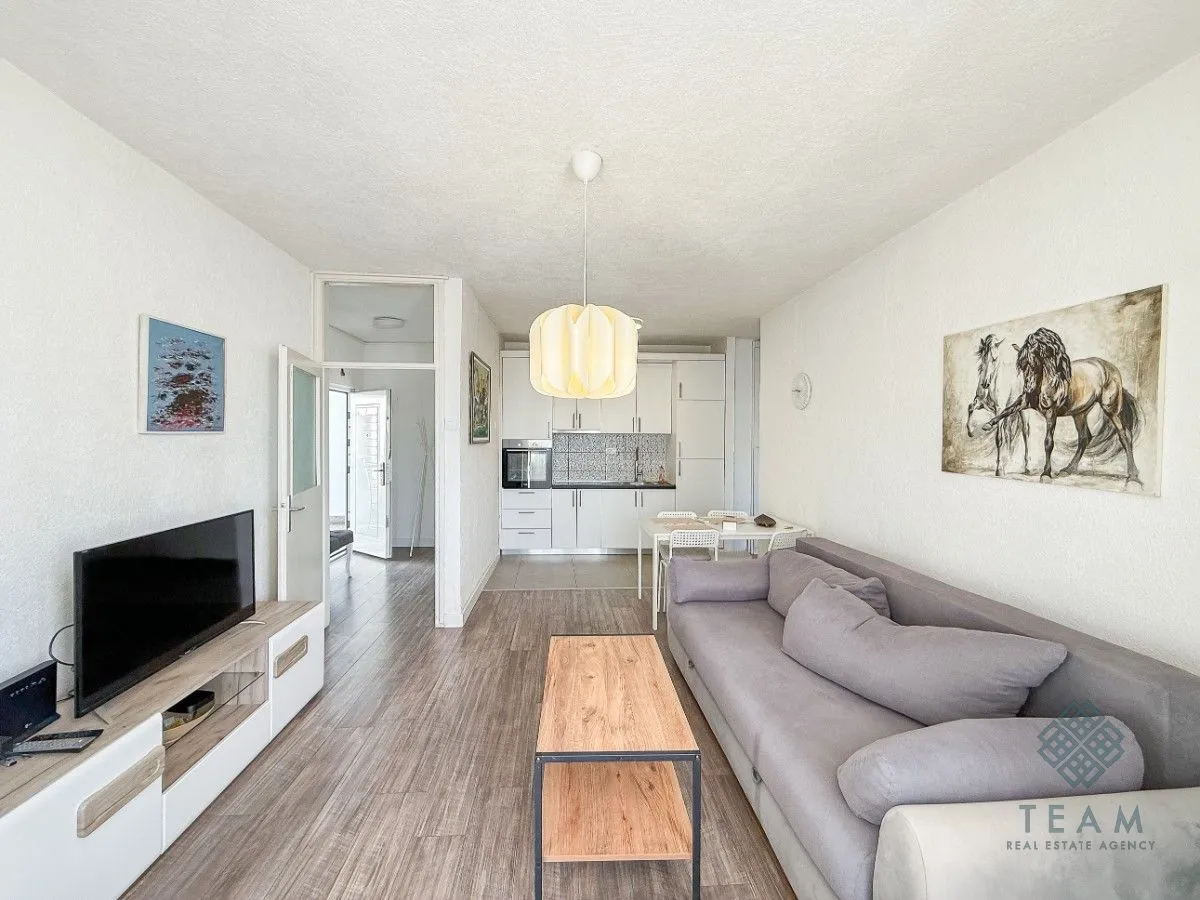 Living room with sofa, television, and a view of the kitchen in the background.
