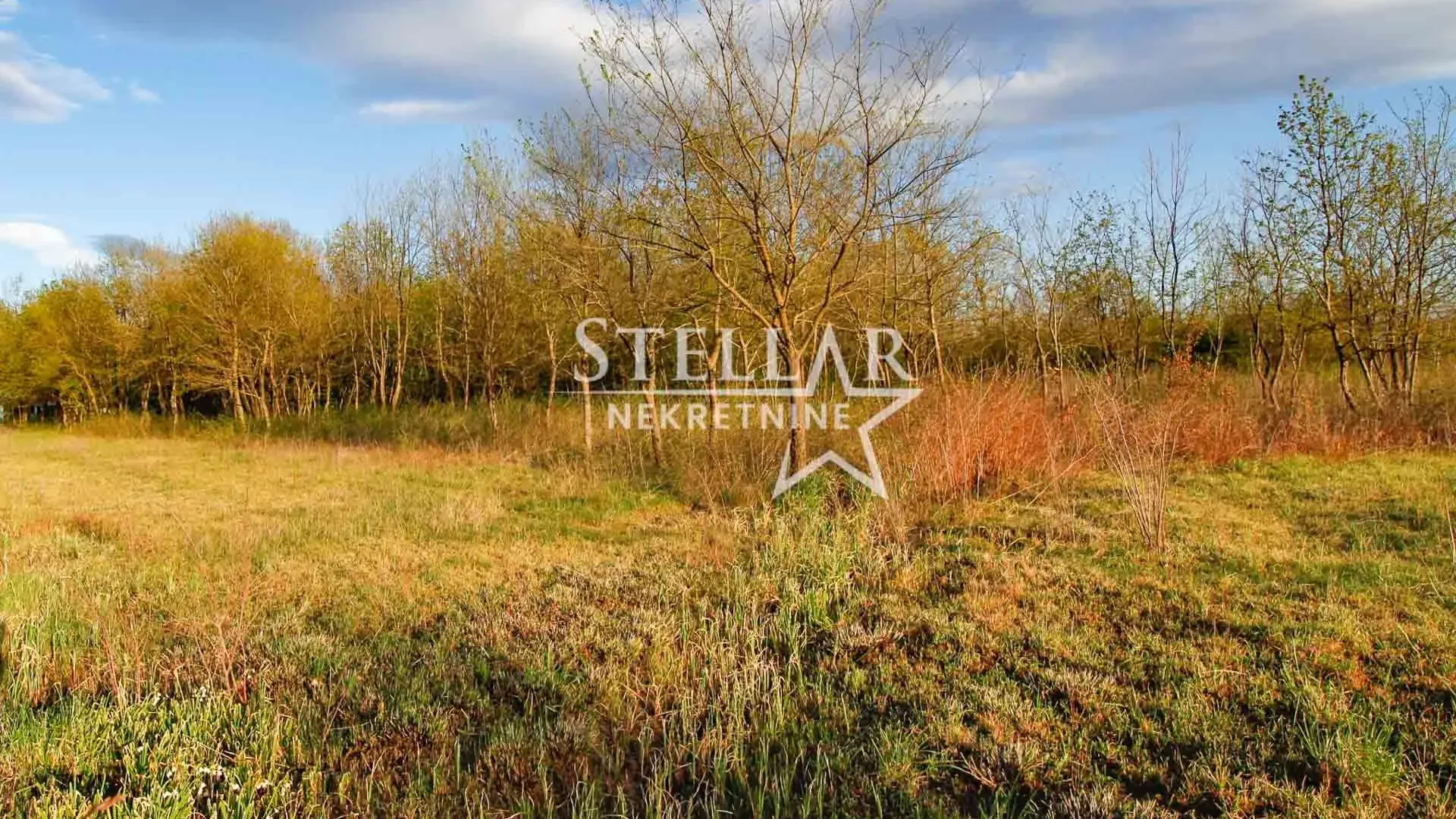 Prodaja, plac, 5554m², Jastreb, Danilovgrad