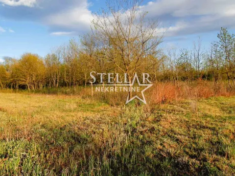 Prodaja, plac, 5554m², Jastreb, Danilovgrad - image 3