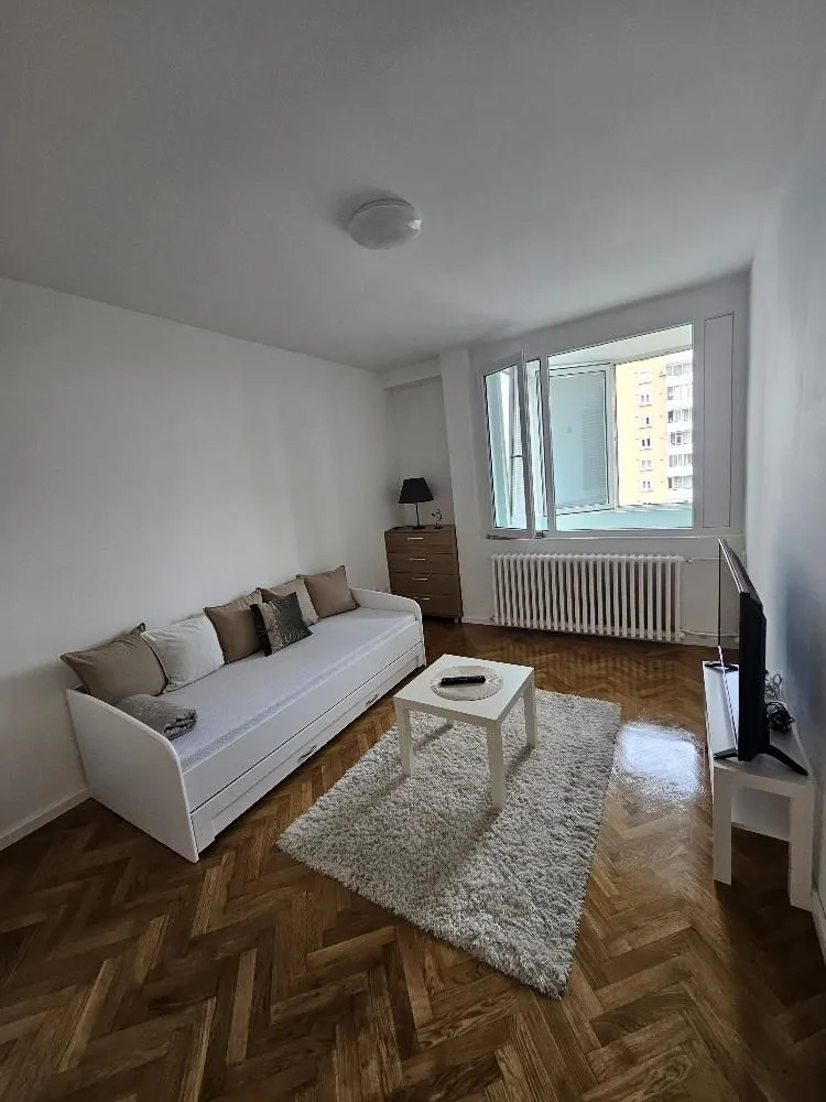 Rent, one bedroom apartment, 31m², Lion, Zvezdara Sve Podlokacije