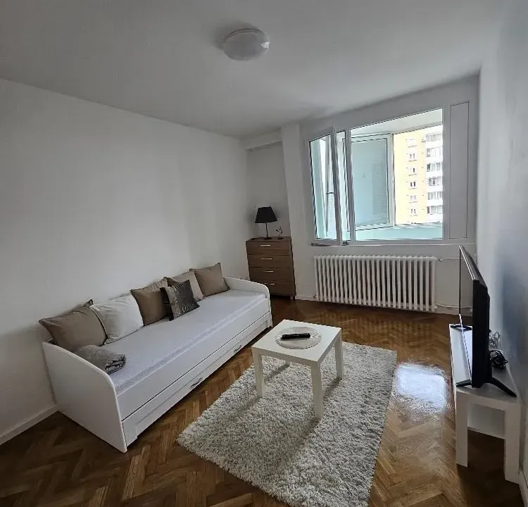 Rent, one bedroom apartment, 31m², Lion, Zvezdara Sve Podlokacije