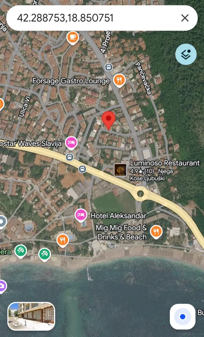 Satellite map view of the property location with marked position.