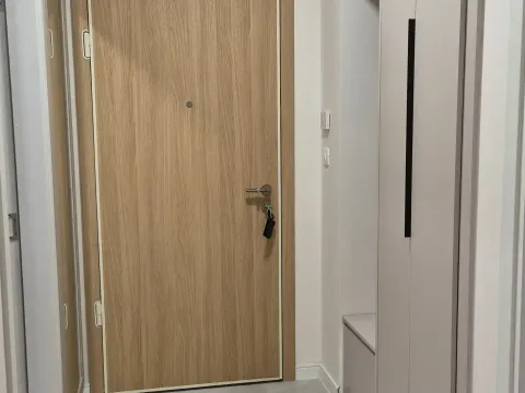 Izdavanje, jednosoban stan, 50m², Central Point, Podgorica - image 5