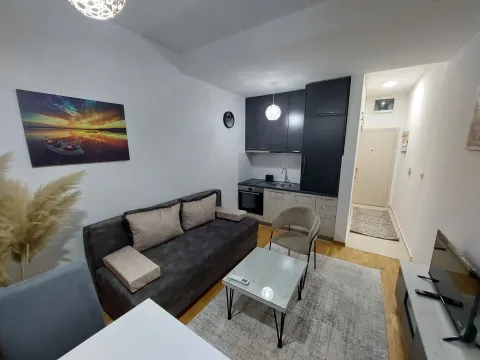 Rent, studio apartment, 25m², Zabjelo, Podgorica - image 3