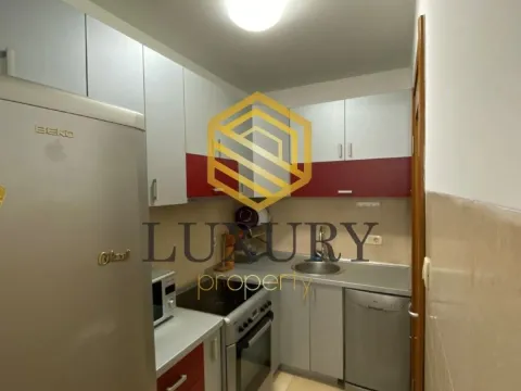 Izdavanje, dvosoban stan, 55m², Stari Aerodrom, Podgorica - image 11