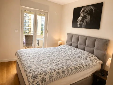 Izdavanje, jednosoban stan, 47m², Central Point, Podgorica - image 6