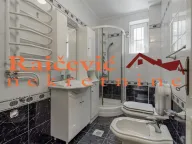 Izdavanje, kuća, 544m², Trošarina, Voždovac Sve Podlokacije - image 13