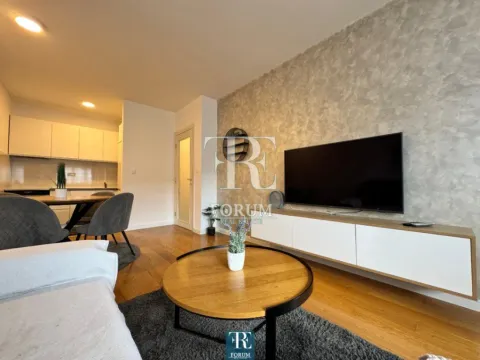 Izdavanje, jednosoban stan, 50m², Central Point, Podgorica - image 4