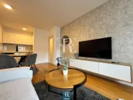 Izdavanje, jednosoban stan, 50m², Central Point, Podgorica - image 4