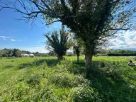 Prodaja, plac, 2737m², Kosić, Danilovgrad - image 6