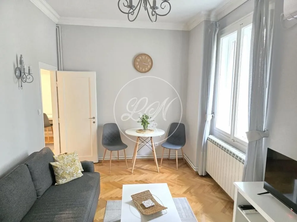 Izdavanje, jednosoban stan, 32m², Profesorska Kolonija, Palilula Sve Podlokacije