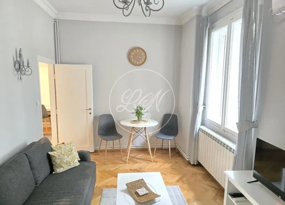 Izdavanje, jednosoban stan, 32m², Profesorska Kolonija, Palilula Sve Podlokacije