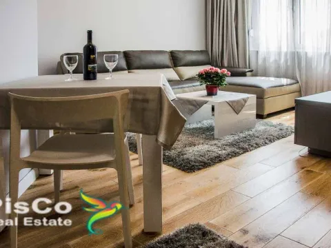 Izdavanje, jednosoban stan, 46m², Centar, Podgorica - image 7
