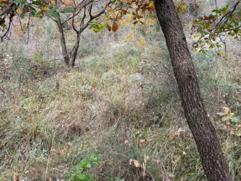 Prodaja, plac, 500m², Kamenari, Herceg Novi - image 6