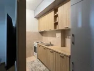 Izdavanje, jednosoban stan, 42m², Ljubović, Podgorica - image 5