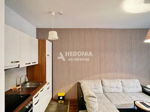 Prodaja, jednosoban stan, 42m², Brzeće, Kopaonik - image 5