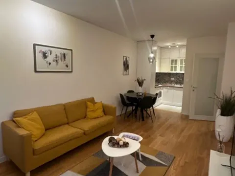 Izdavanje, jednosoban stan, 47m², Central Point, Podgorica - image 3