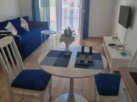 Rent, studio apartment, 31m², Golubovina, Budva - image 1