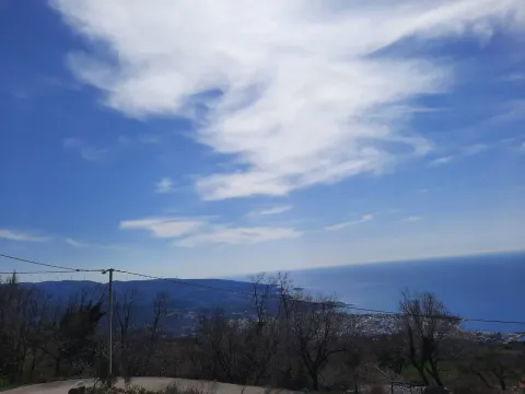 Prodaja, plac, 2600m², Bar, Crna Gora - image 2