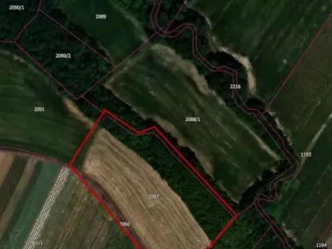 Sale, land lot, 25767m², Medjureč, Jagodina - image 3