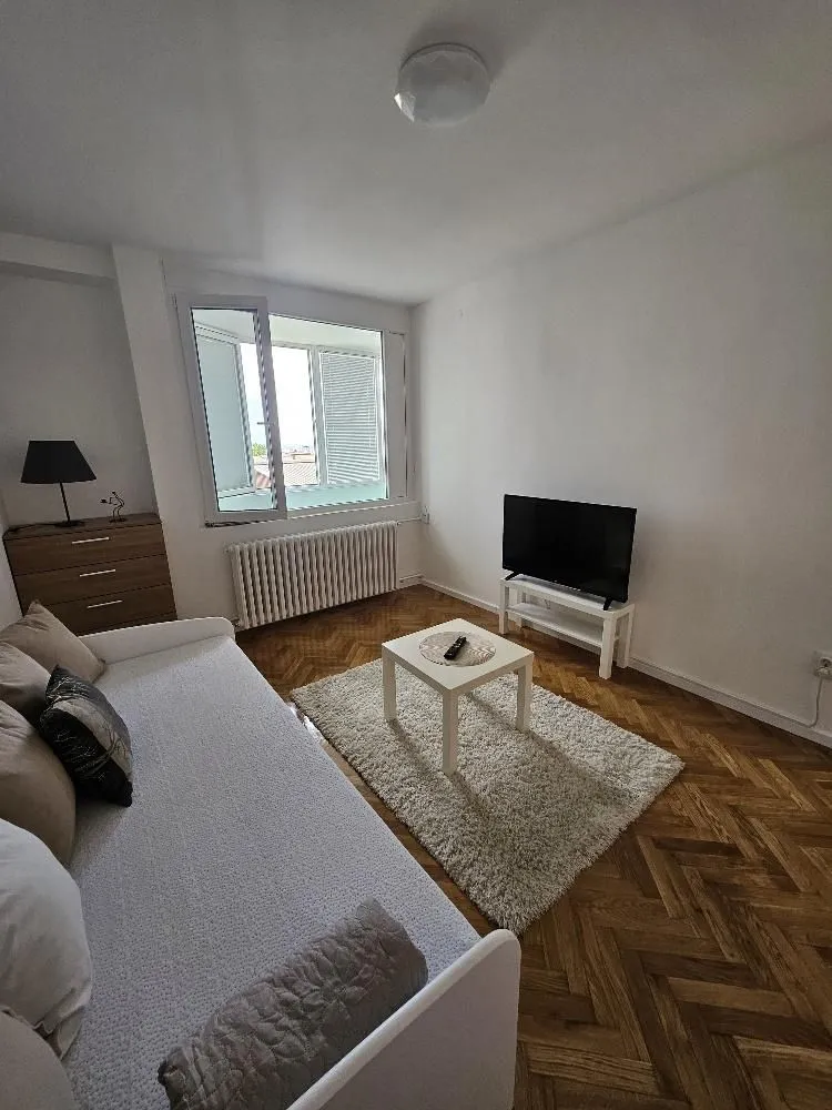 Rent, one bedroom apartment, 31m², Lion, Zvezdara Sve Podlokacije