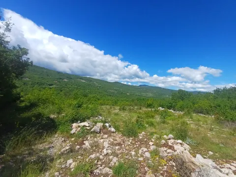 Prodaja, plac, 500m², Komani, Podgorica - image 3