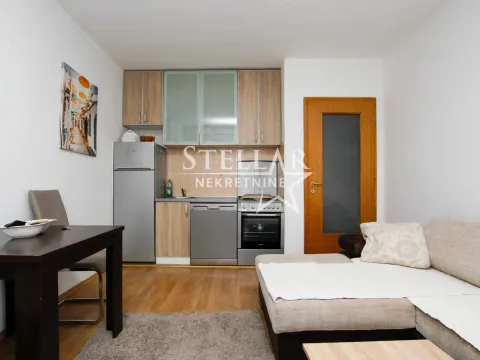 Rent, studio apartment, 28m², Zabjelo, Podgorica - image 2