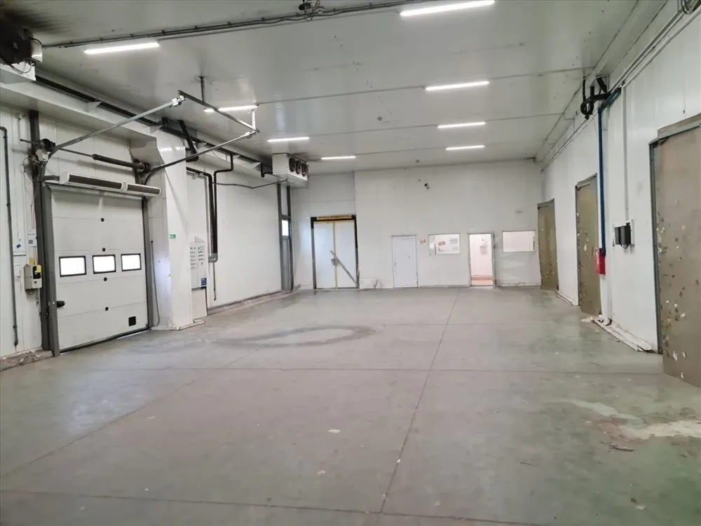 Rent, office space, 3200m², Šimanovci, Pećinci