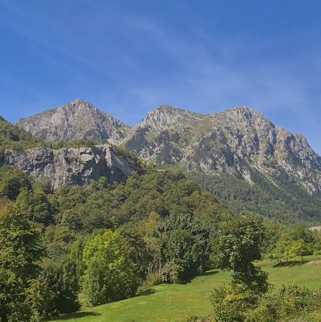 Pogled na planinski pejzaž sa zelenilom.